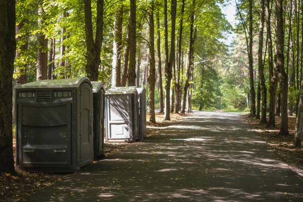 Best Wedding porta potty rental  in Armada, MI